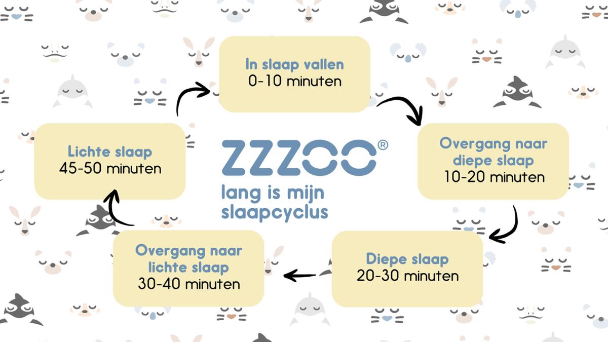 Baby doorslapen: dit moet je weten! [2023]